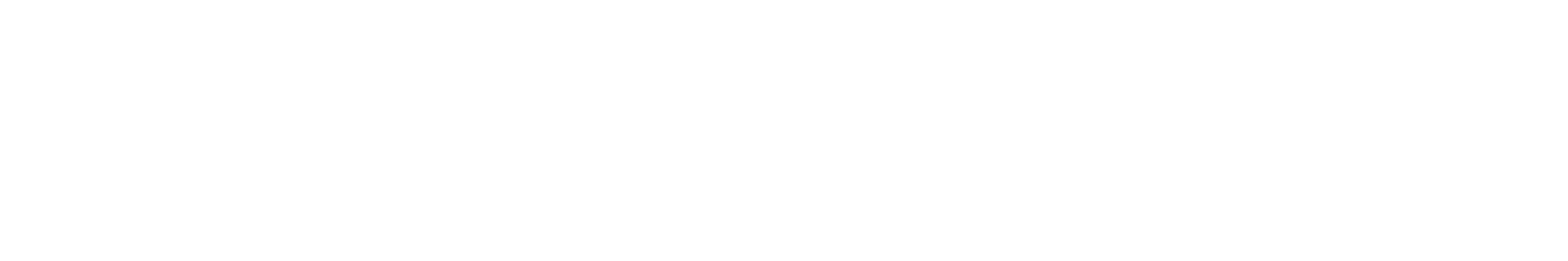 bacelere high resolution logo transparent